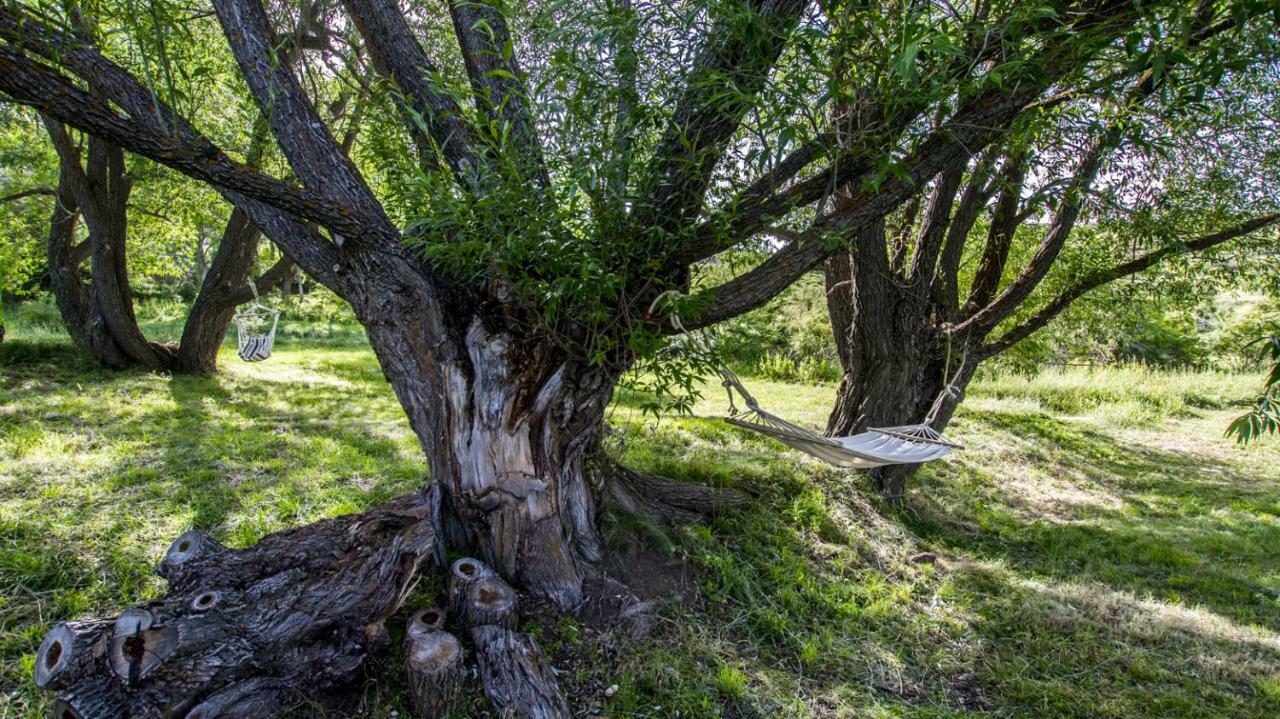 Masia El Cabrero Villarroya de los Pinares ภายนอก รูปภาพ